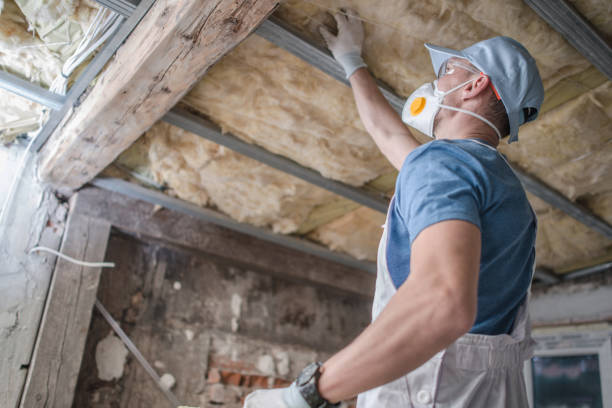 Best Insulation Materials and Products in Carnation, WA